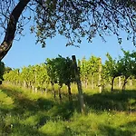 Weinhof Reichmann Bed & Breakfast 3*