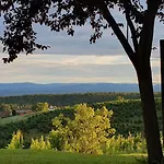 Weinhof Reichmann 3* Sankt Peter am Ottersbach