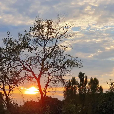 Weinhof Reichmann B&B Sankt Peter am Ottersbach