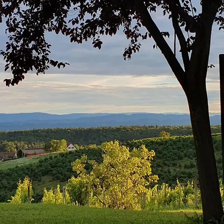 Weinhof Reichmann 3* Sankt Peter am Ottersbach