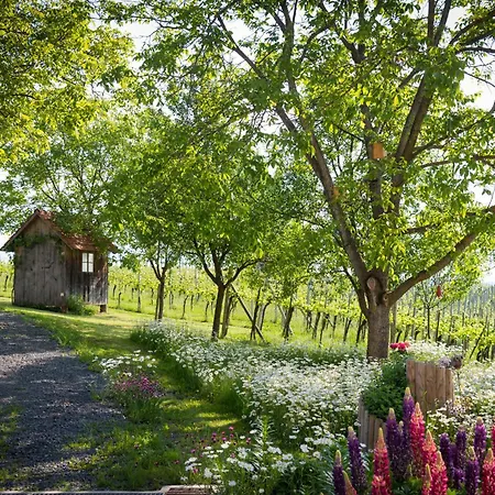 Bed & Breakfast Weinhof Reichmann *