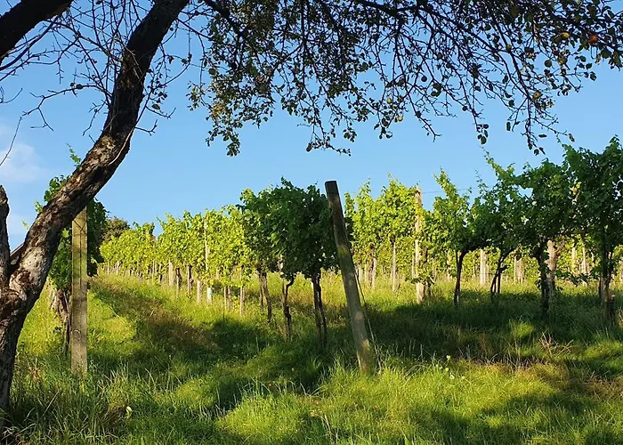 Weinhof Reichmann 住宿加早餐酒店 3*