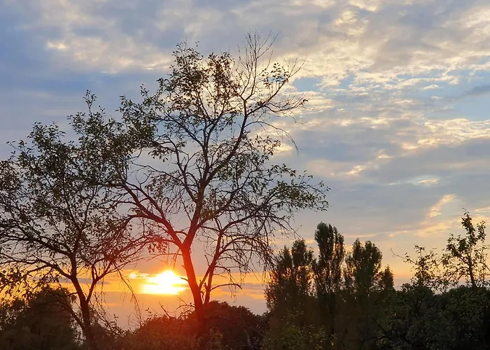 Weinhof Reichmann 住宿加早餐酒店 Sankt Peter am Ottersbach