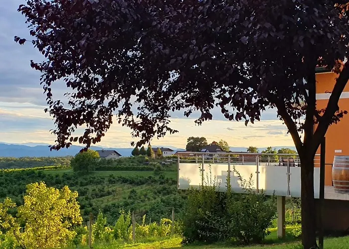 住宿加早餐酒店 Weinhof Reichmann Sankt Peter am Ottersbach