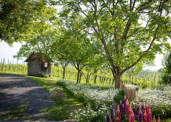 住宿加早餐酒店 Weinhof Reichmann 3*