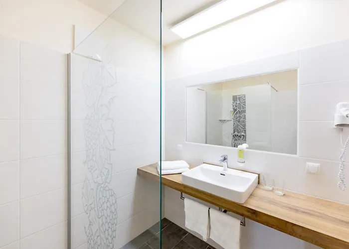 住宿加早餐酒店 Weinhof Reichmann 3*